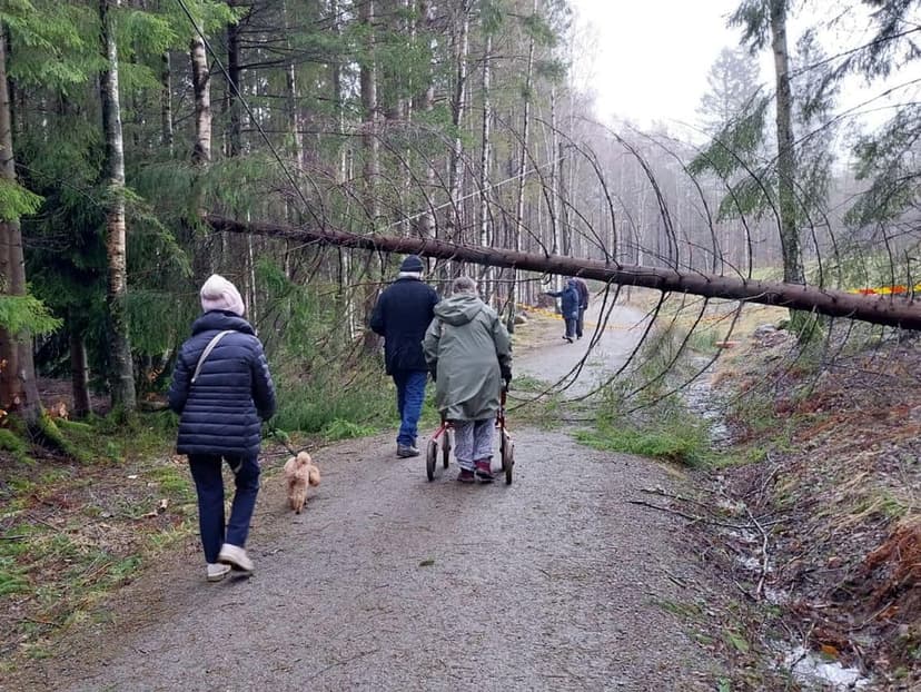 Måndagspromenad