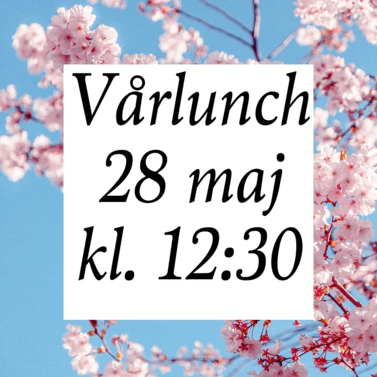 Vårlunch 
