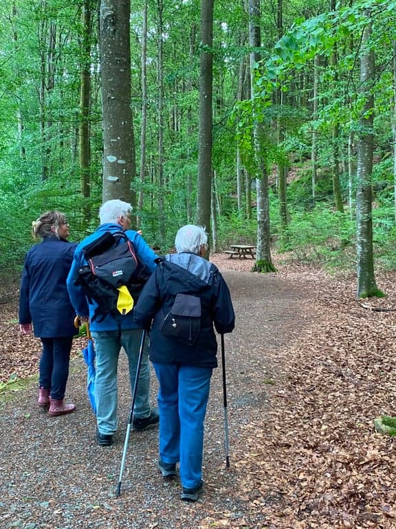 Kärna bokskog