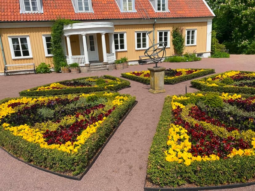 Botaniska trädgården