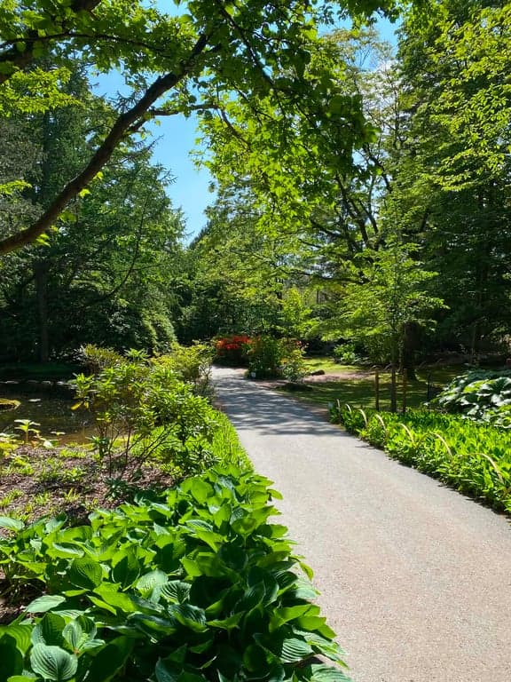 Botaniska trädgården
