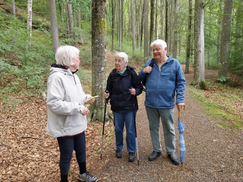 Kärna bokskog